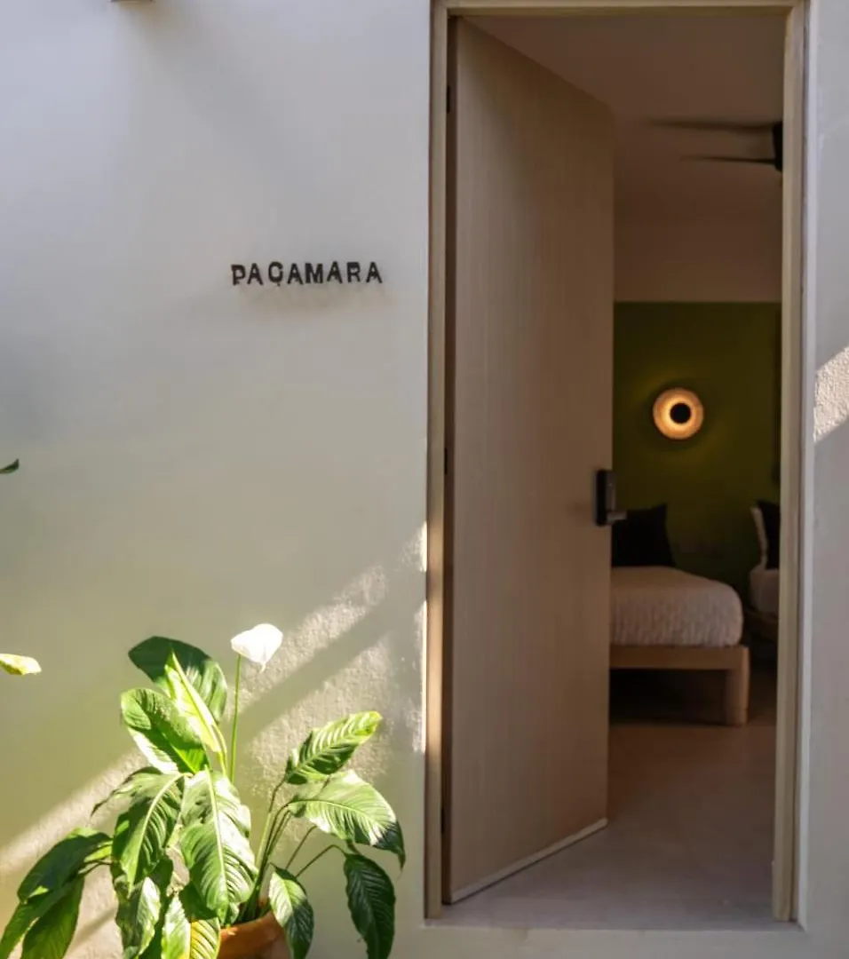 Parcela7 Cafe-Hotel Playa del Carmen 0*,  Mexico