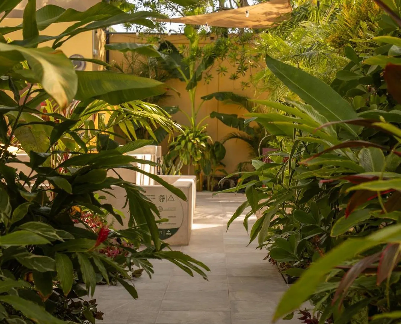 Parcela7 Cafe-Hotel Playa del Carmen